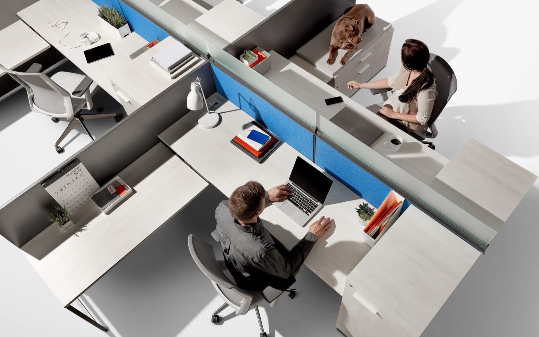 Office Furniture Solutions for Every Workspace in Langley