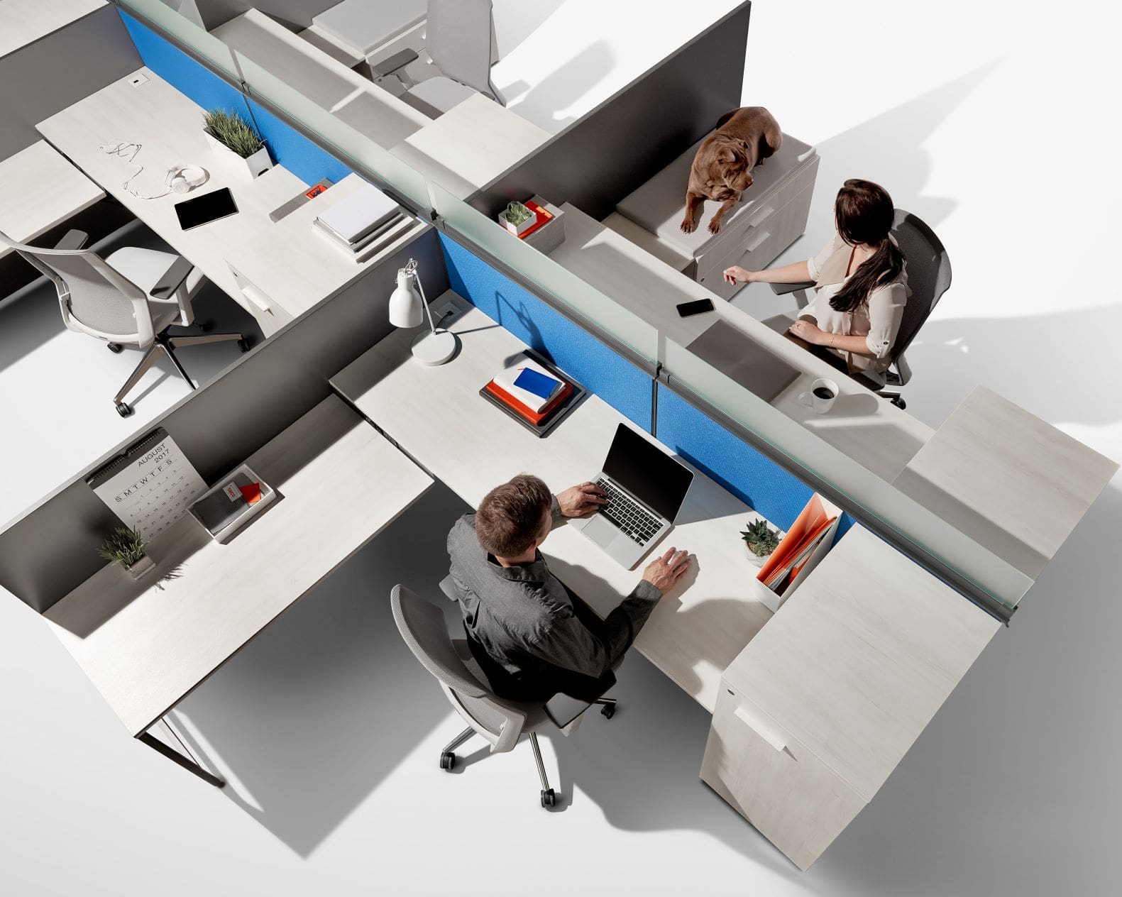 Discover Diverse Office Furniture Solutions in Langley