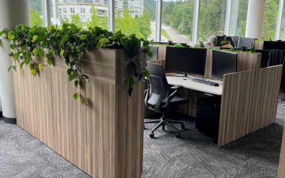 Case Study: Modern Office Furniture Design for Real Estate Developer in Port Moody, BC
