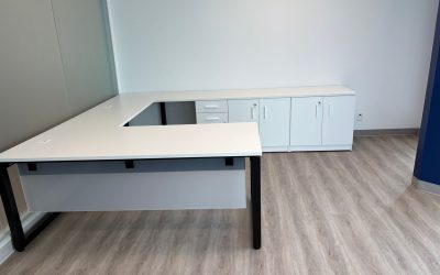 Case Study: Office Furnishing for North American Transport Company