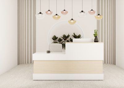 Office furniture supply and installation | Reception Desks Office furniture supply and installation | Reception Desks